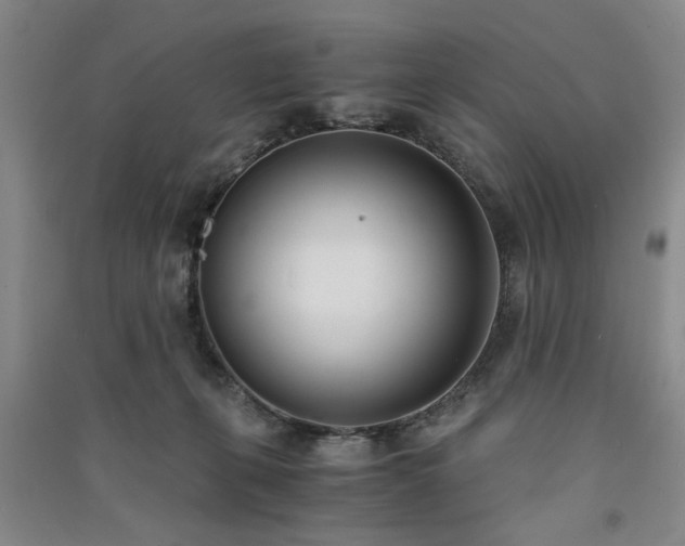 X0000091520271200708171222