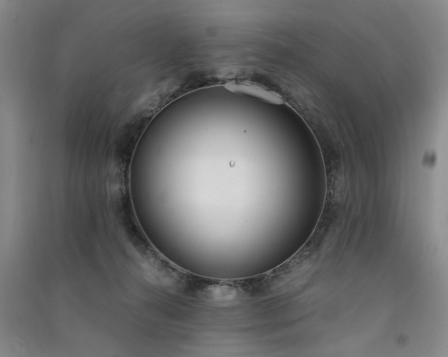 X0000091520272200708171222