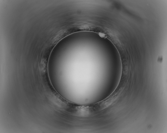 X0000091520273200708171222
