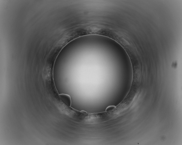 X0000091520274200708171222