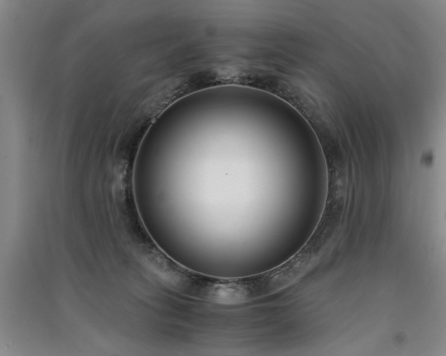X0000091520275200708171222