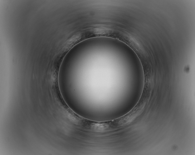 X0000091520277200708171222