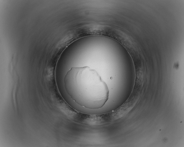 X0000091520278200708171222