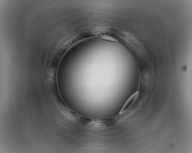 X0000091520280200708171222