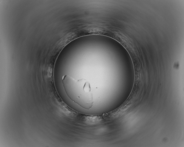 X0000091520281200708171222