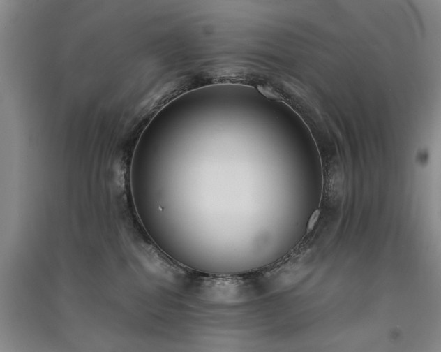 X0000091520282200708171222