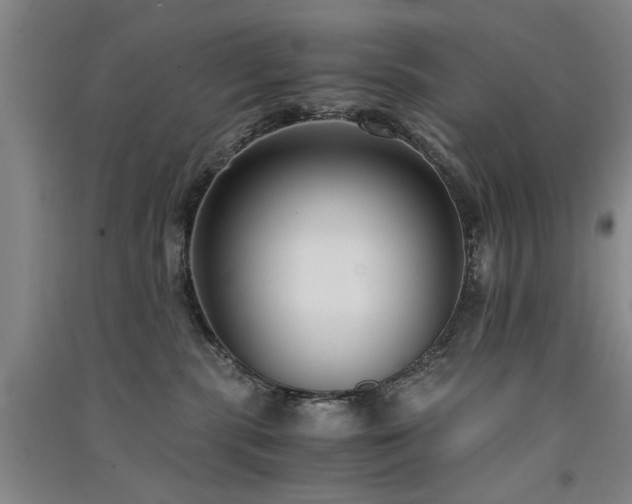 X0000091520283200708171222