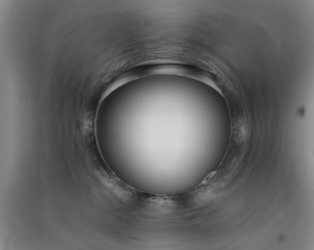 X0000091520284200708171223