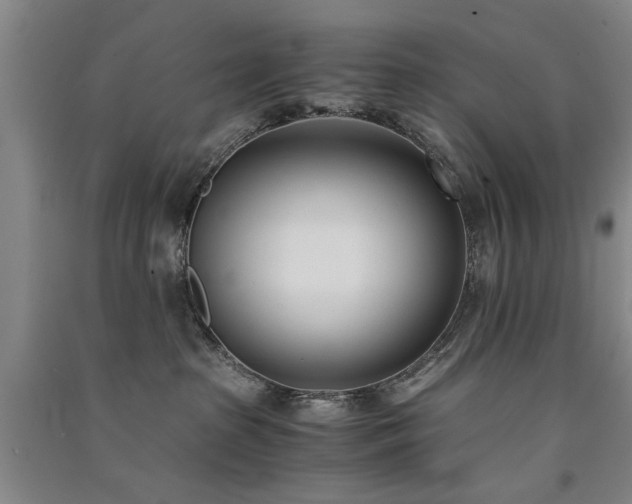 X0000091520285200708171223