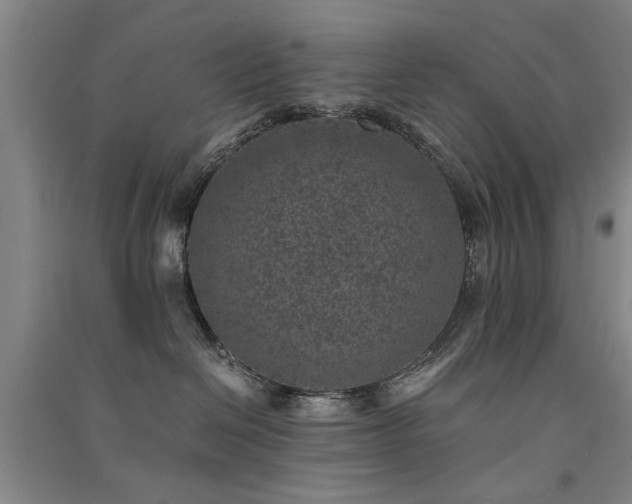 X0000091520286200708171223