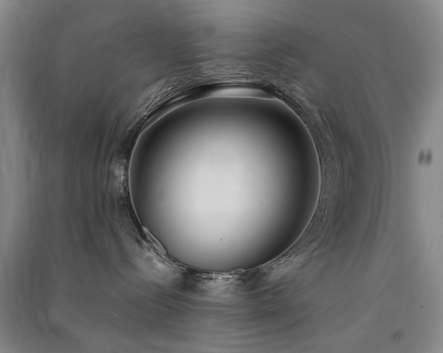 X0000091520288200708171223