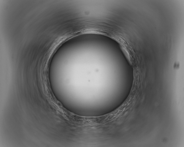 X0000091520289200708171222