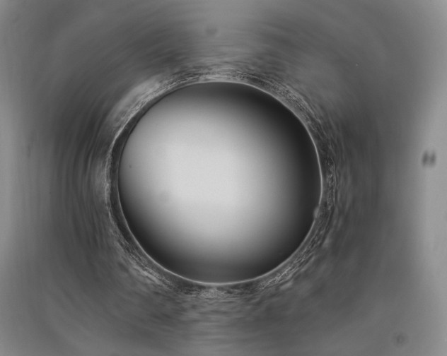 X0000091520290200708171222