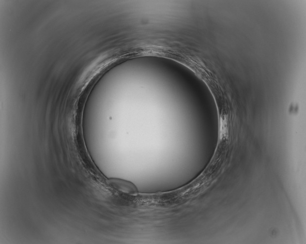 X0000091520291200708171222