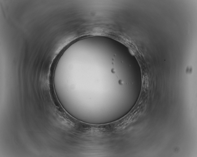 X0000091520292200708171222
