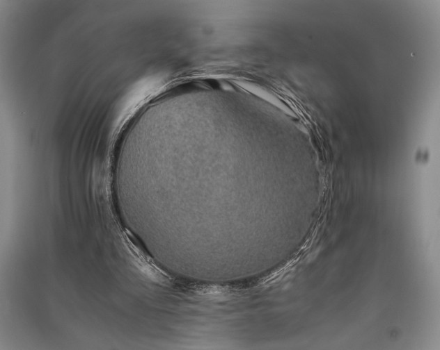 X0000091520293200708171222