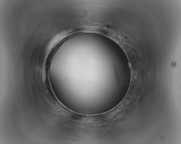 X0000091520294200708171222
