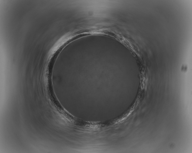 X0000091520295200708171222