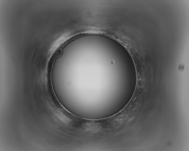 X0000091520296200708171222