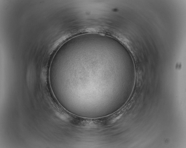 X0000091520297200708171222