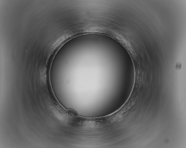 X0000091520298200708171222