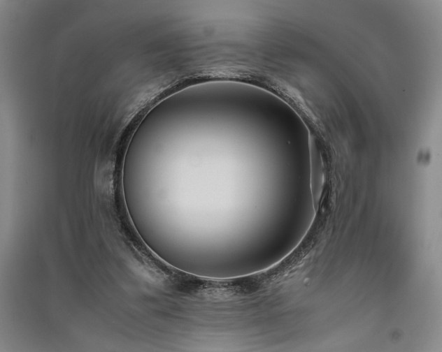 X0000091520299200708171222