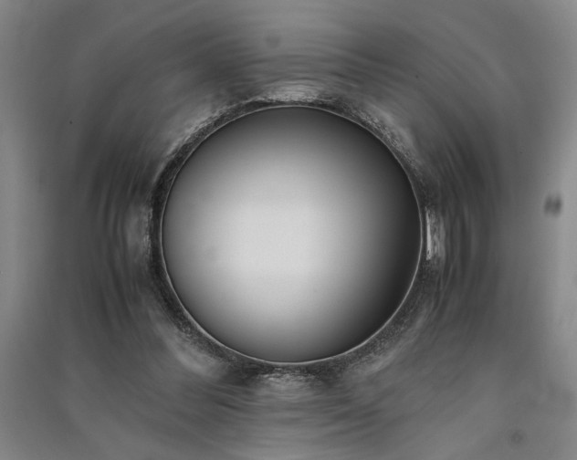 X0000091520300200708171222