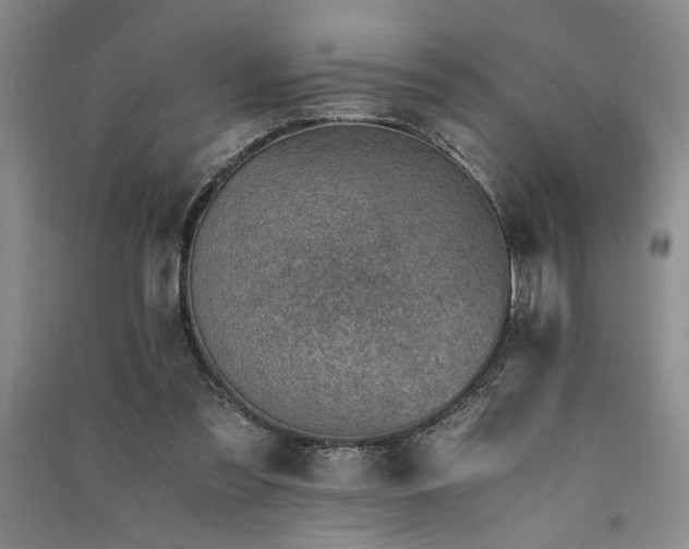 X0000091520301200708171222