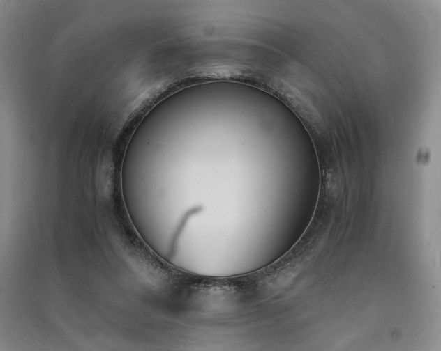 X0000091520304200708171222
