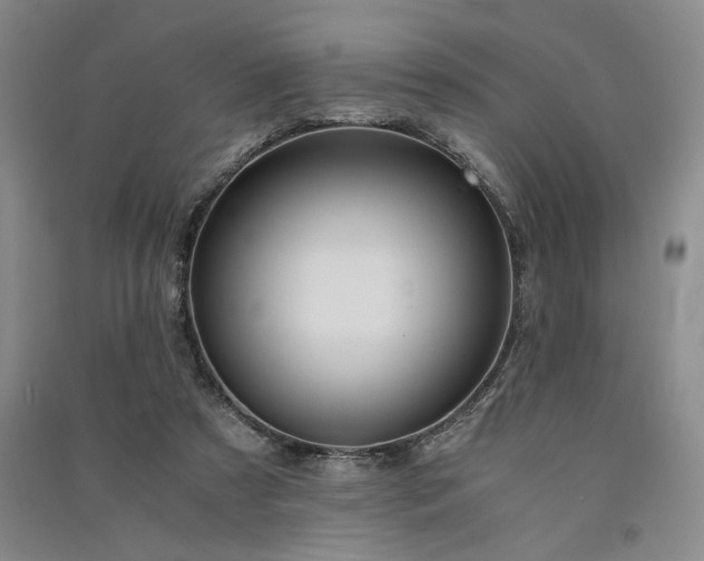 X0000091520305200708171222
