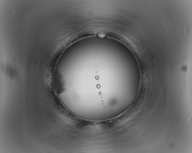 X0000091520307200708171222