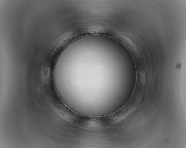 X0000091520308200708171222