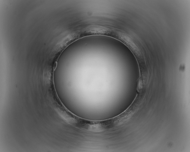 X0000091520309200708171222