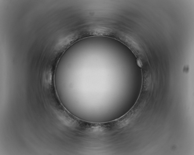 X0000091520310200708171222
