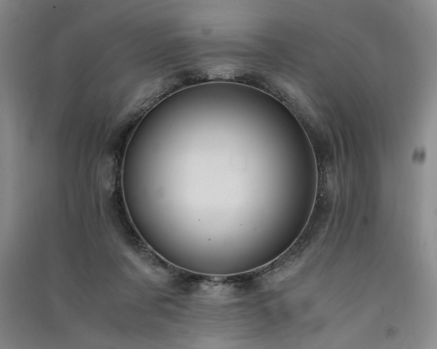 X0000091520311200708171222