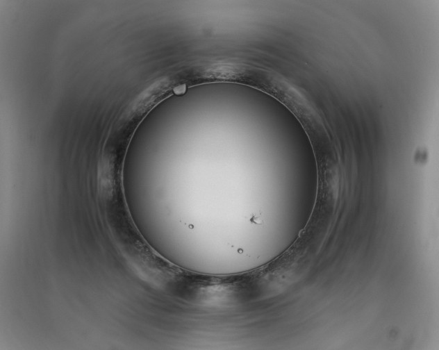 X0000091520312200708171222