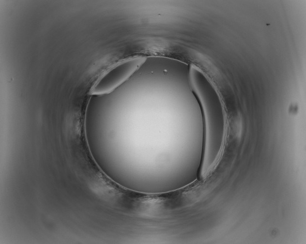 X0000091520313200708171221