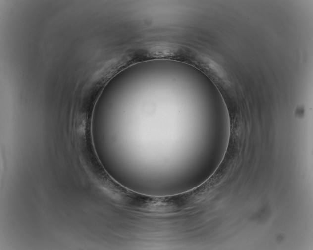 X0000091520315200708171221