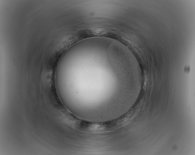 X0000091520319200708171221