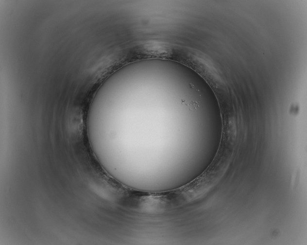 X0000091520320200708171221