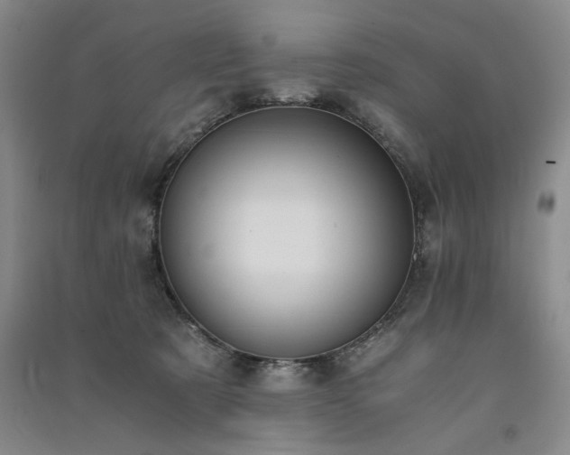 X0000091520321200708171221