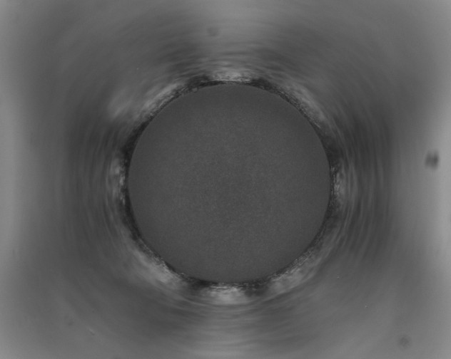 X0000091520322200708171221