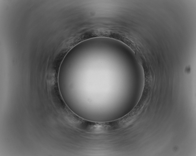 X0000091520323200708171221
