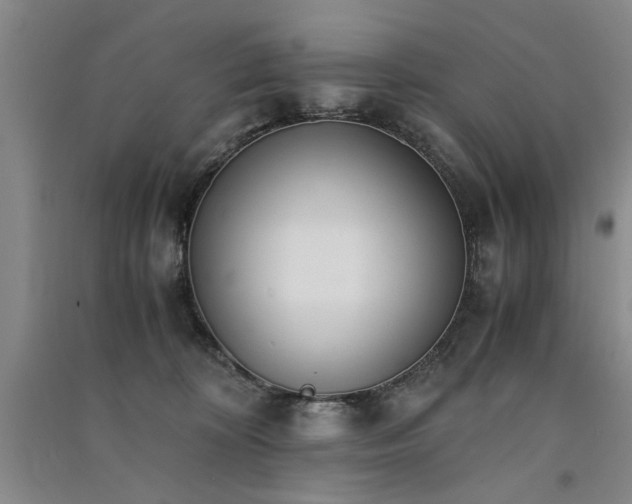 X0000091520324200708171221