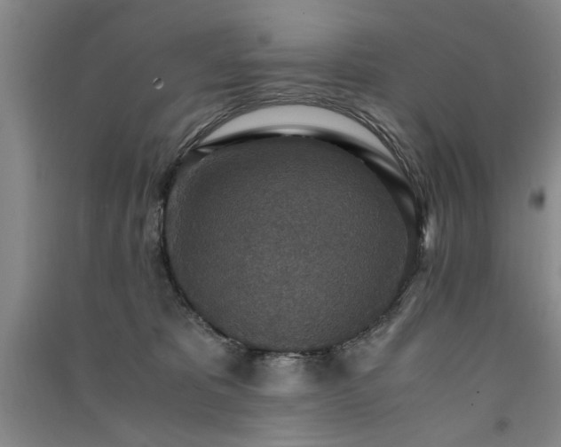 X0000091520325200708171221