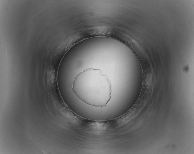 X0000091520326200708171221