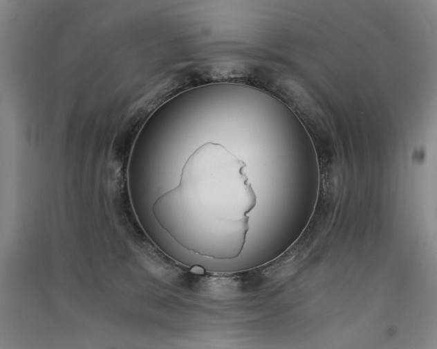 X0000091520327200708171221