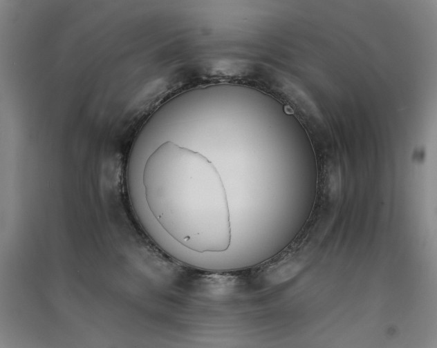 X0000091520328200708171221