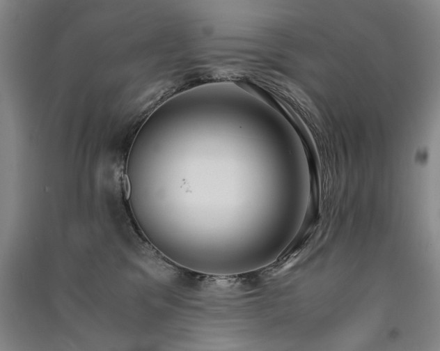 X0000091520329200708171221