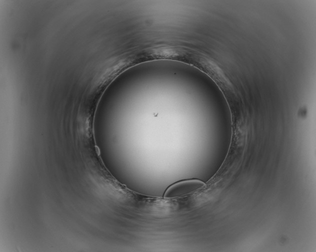 X0000091520330200708171221
